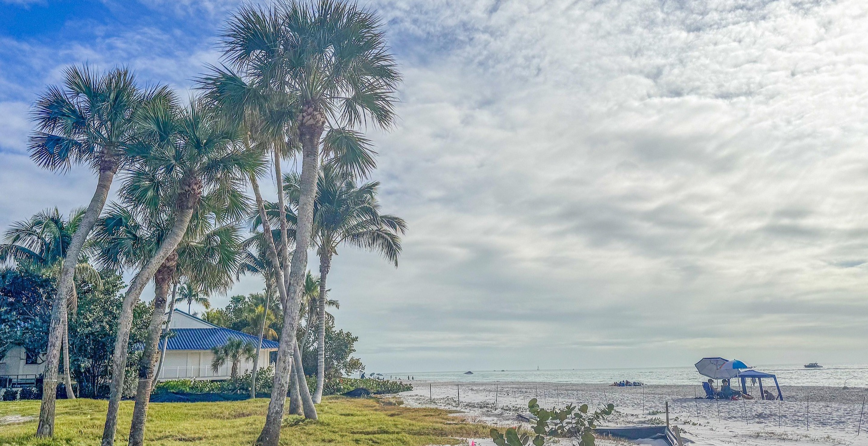 FleshEating Bacteria Cases On The Rise In The Gulf Coast(02)