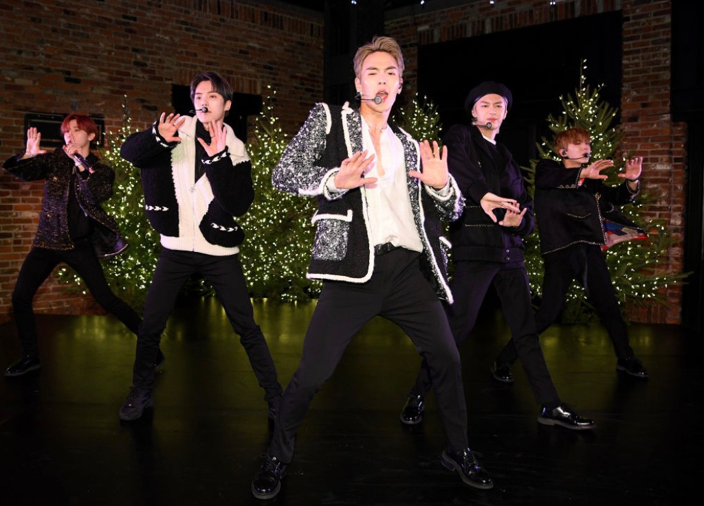 pop-music-star-stricken-with-back-pain-cancels-festival-performance