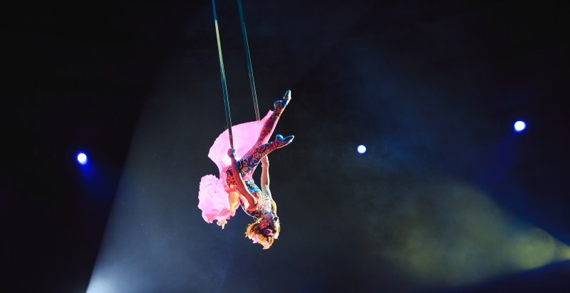 27-Year-Old Trapeze Artist Dies In Front Of Horrified Crowd