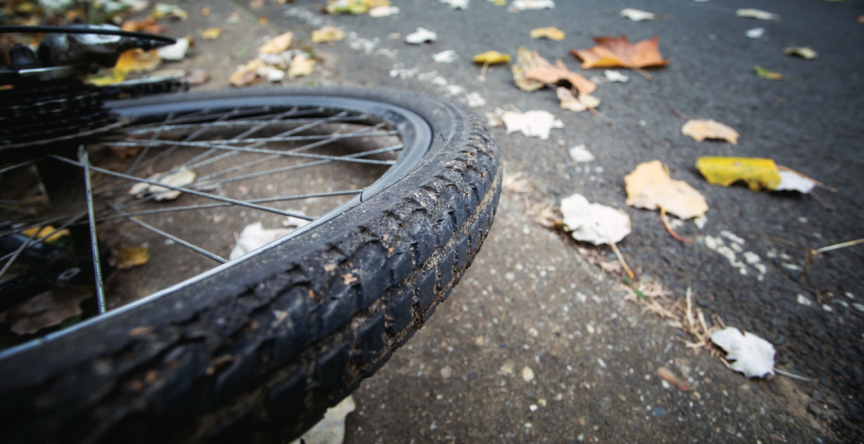 Bicycle Rear Wheel On Ground