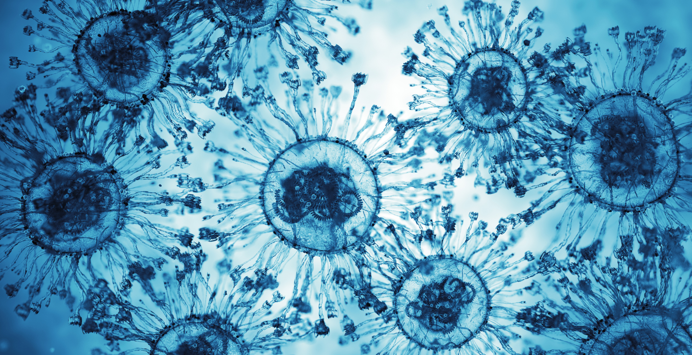 Man Dies From FleshEating Bacteria In Virginia Beach