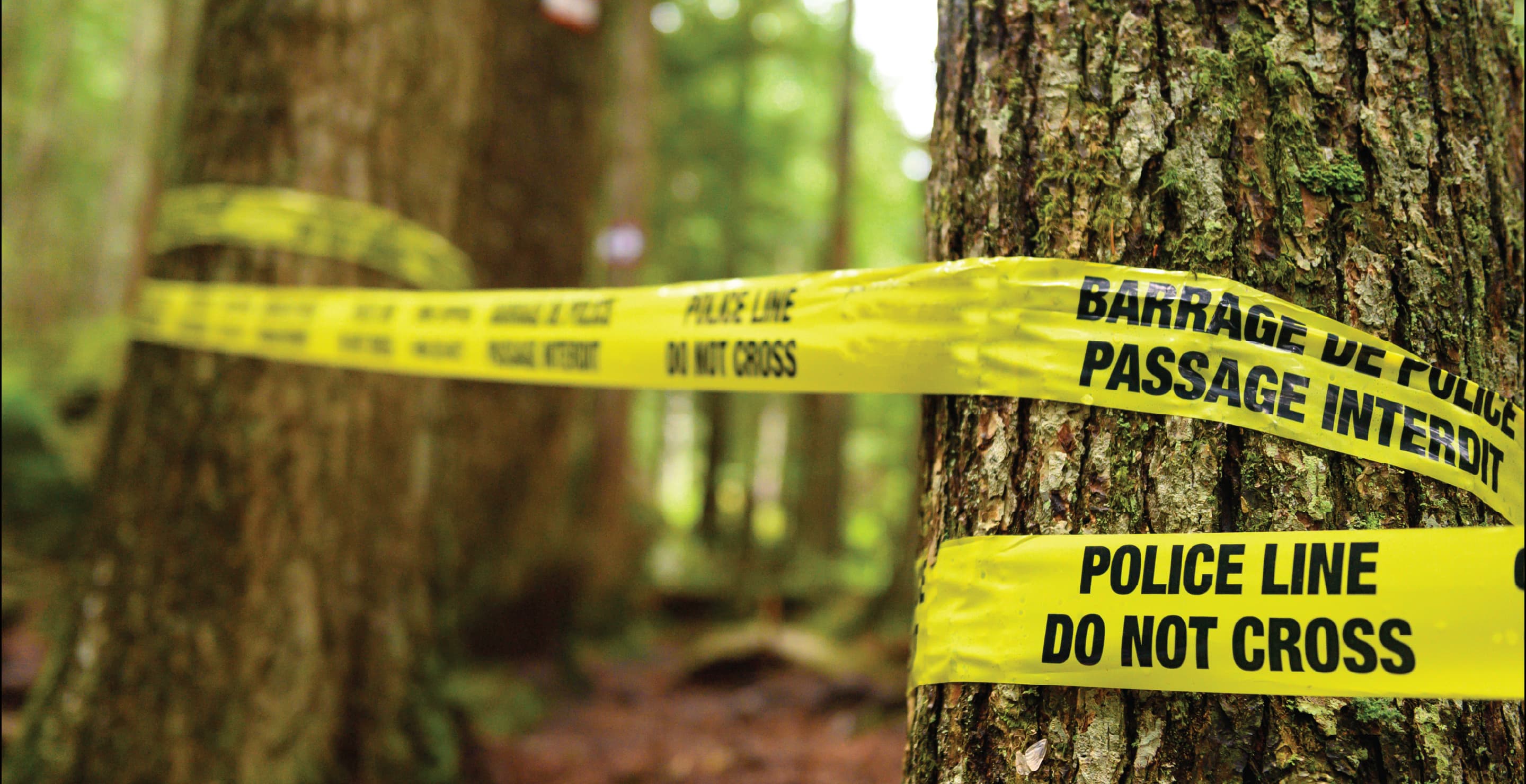 Police Line At Wooded Area