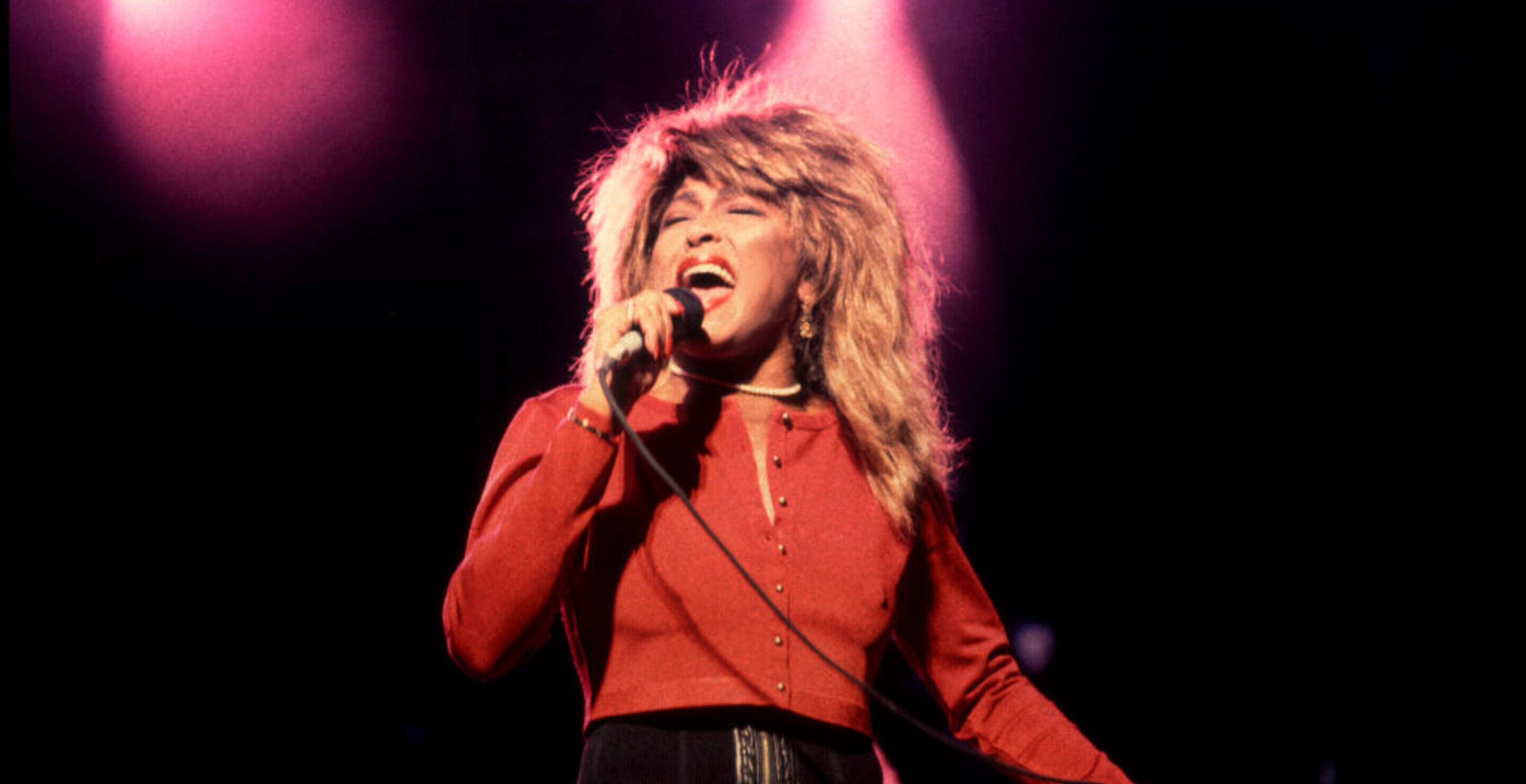 Tina Turner Statue in Her Home County Draws Divisive Reactions