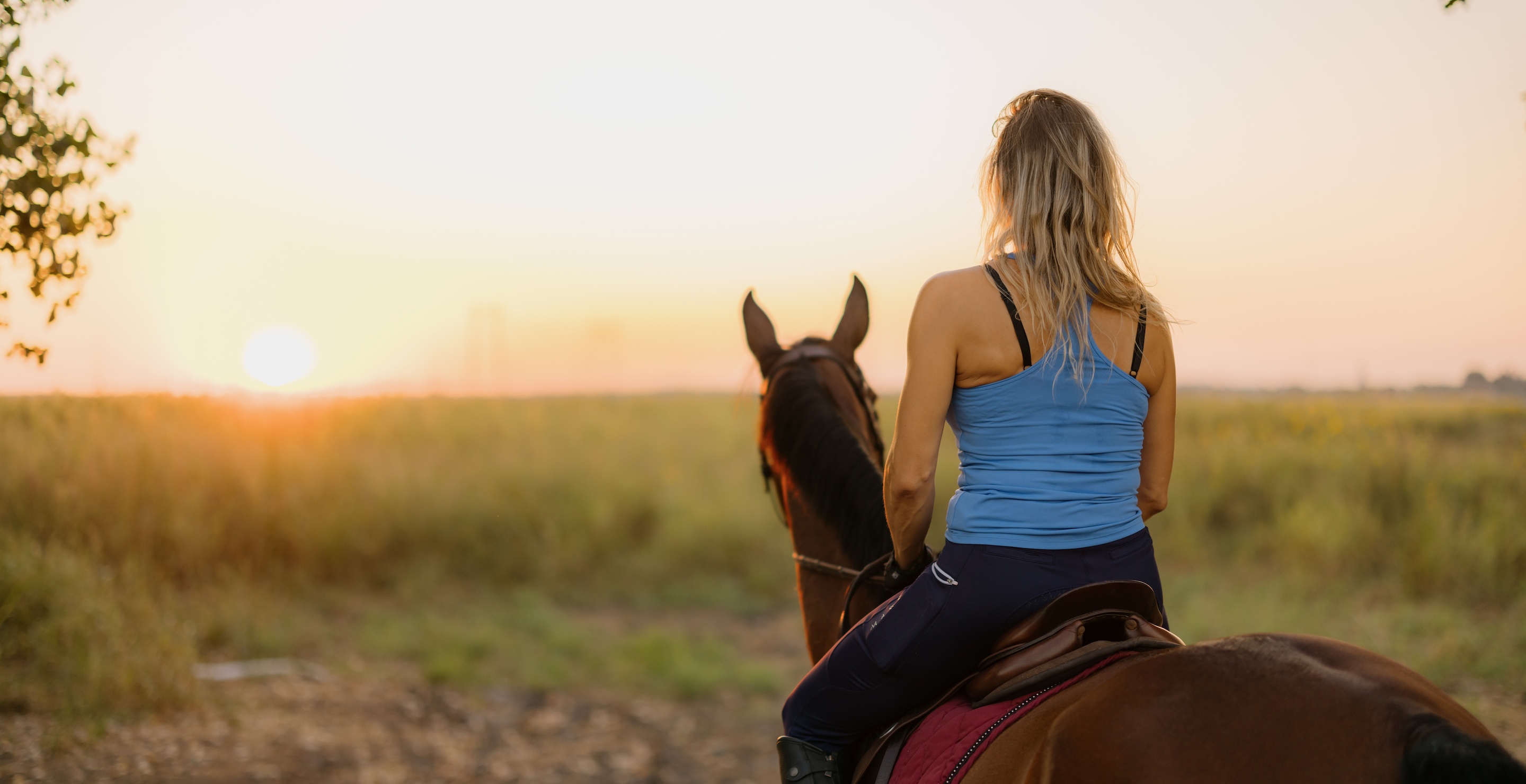 Mom Dies After Spooked Horse Takes Her Into Busy Highway