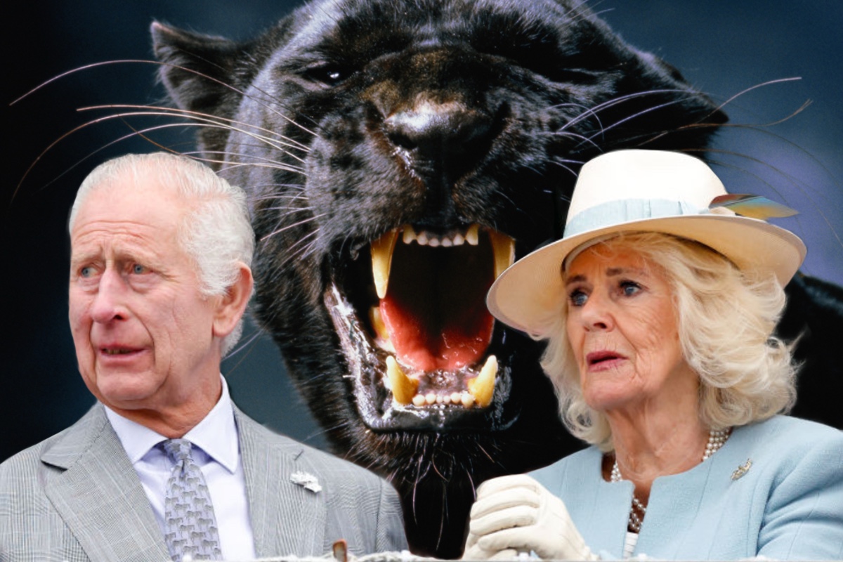 panther-reportedly-spotted-around-king-charles-and-queen-camillas-estate
