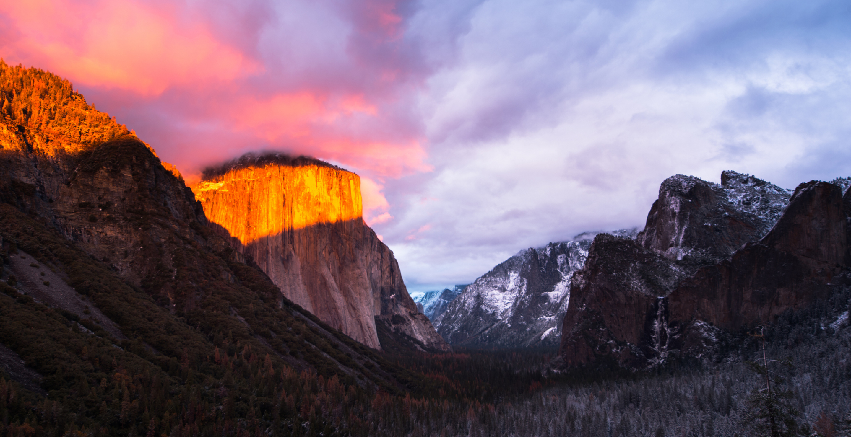 Alaskan Climbing Star, 23, Killed in Fall While Summiting Yosemite's El Capitan