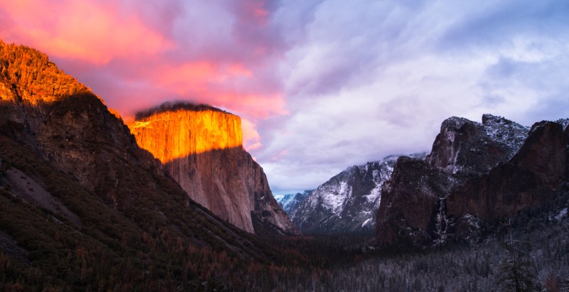 Alaskan Climbing Star, 23, Killed in Fall While Summiting Yosemite's El Capitan
