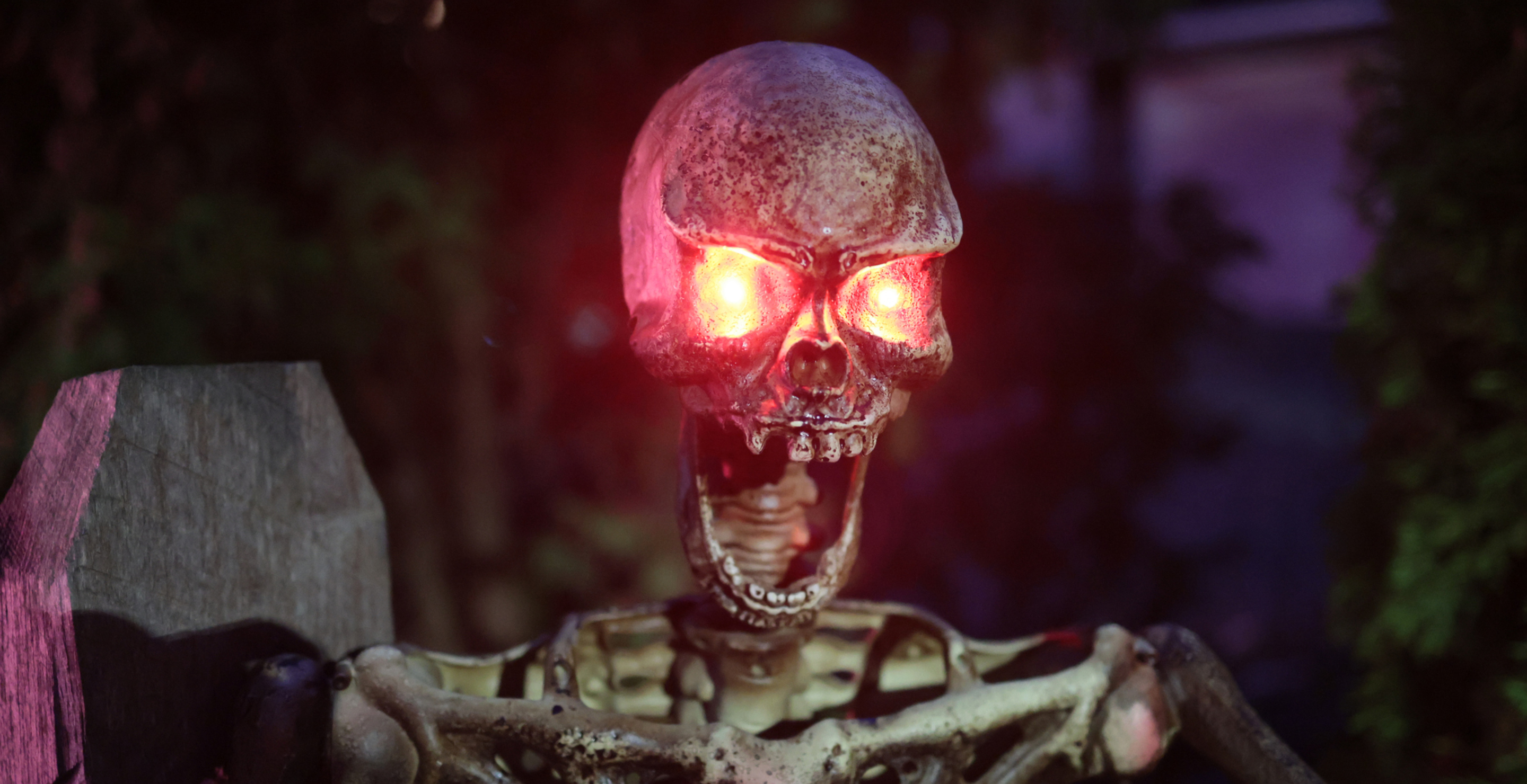 An Illinois Toddler Has Gone Viral For Her Emotional Support Skeleton