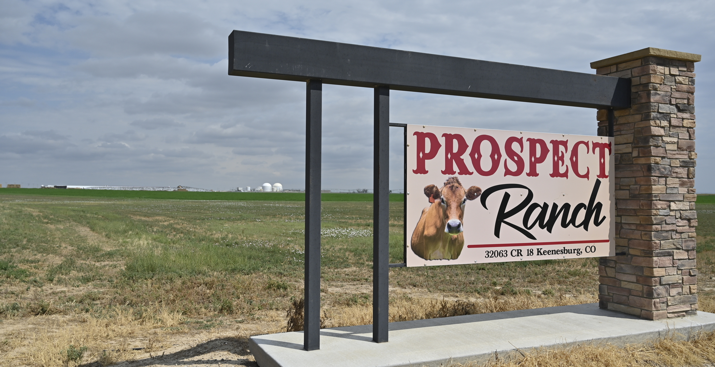 Lethal Gas Primary Suspect In Strange Case At Dairy Farm That Saw 6 Dead