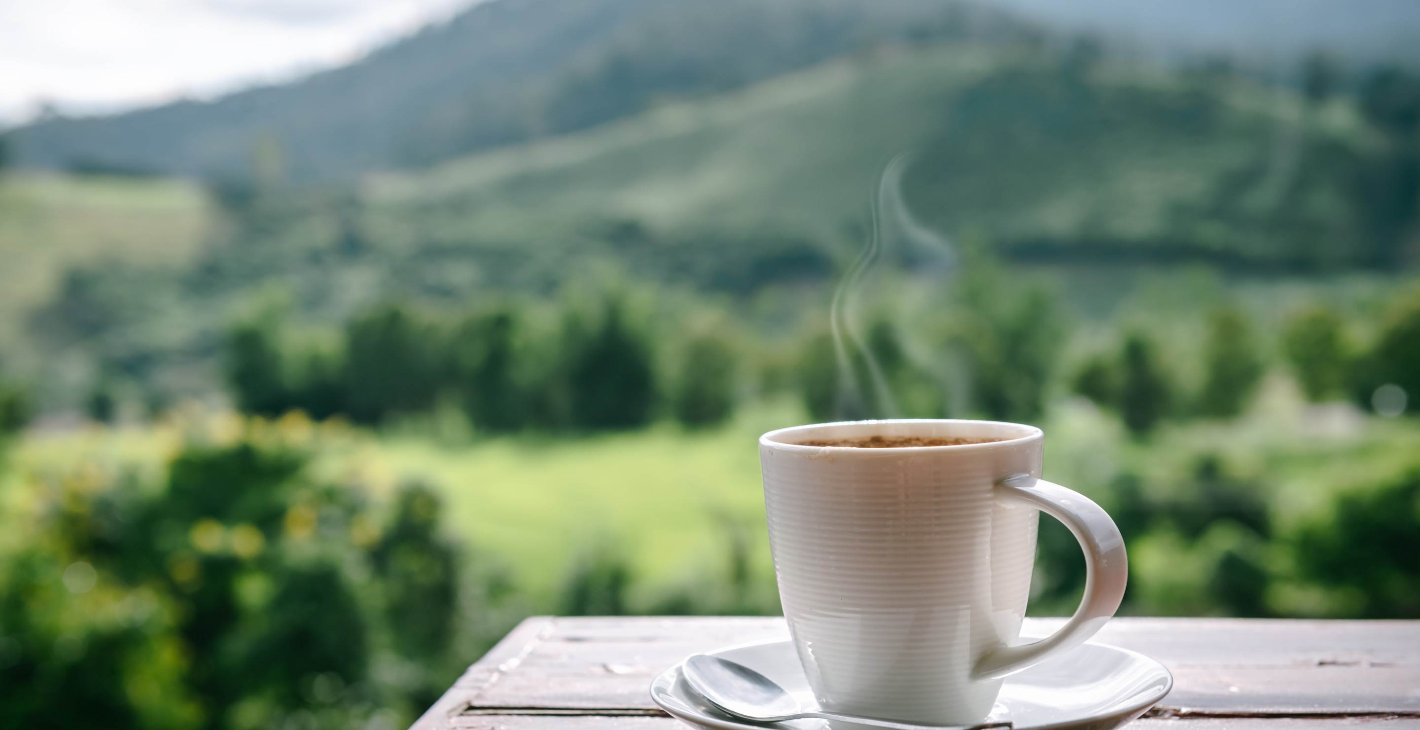 Woman Fined $200 For Pouring Her Coffee Down A Storm Drain: "Feels Quite Unfair"
