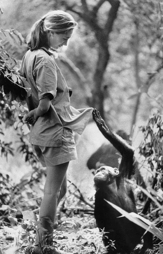 jane-goodall-dead-at-91