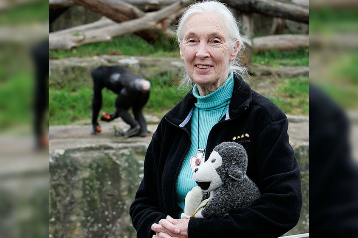 jane-goodall-dead-at-91