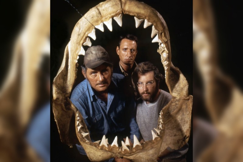 piece-of-jaws-history-sells-for-massive-sum-at-auction