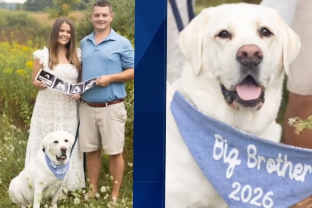 2-beloved-tv-news-anchors-recently-announced-pregnancies