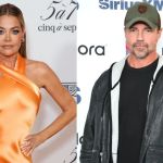 denise-richards-permanent-restraining-order-aaron-phypers