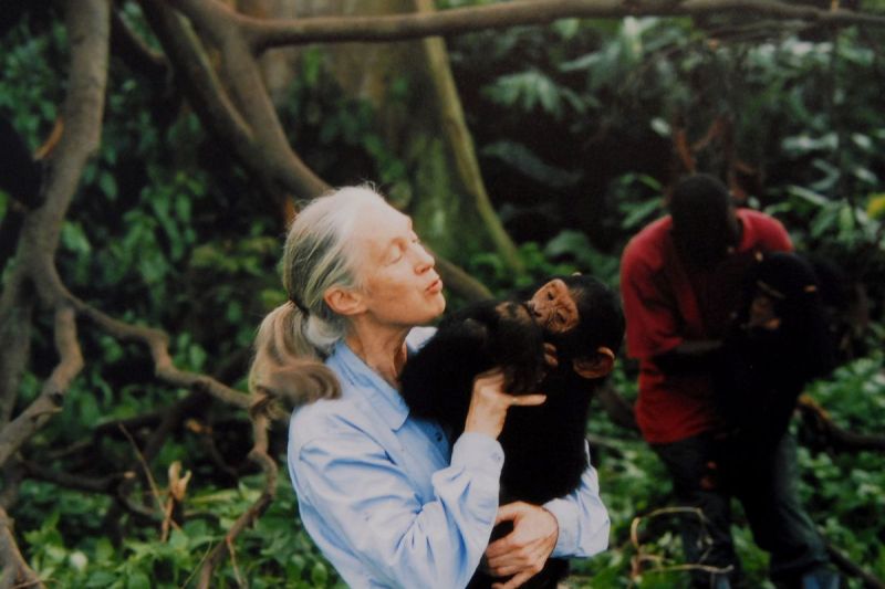 jane-goodalls-cause-of-death-released