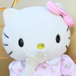 teacher-calls-cops-after-her-hello-kitty-funko-pop-gets-stolen