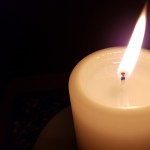 the-simpsons-and-king-of-the-hill-legend-dan-mcgrath-dies-at-61