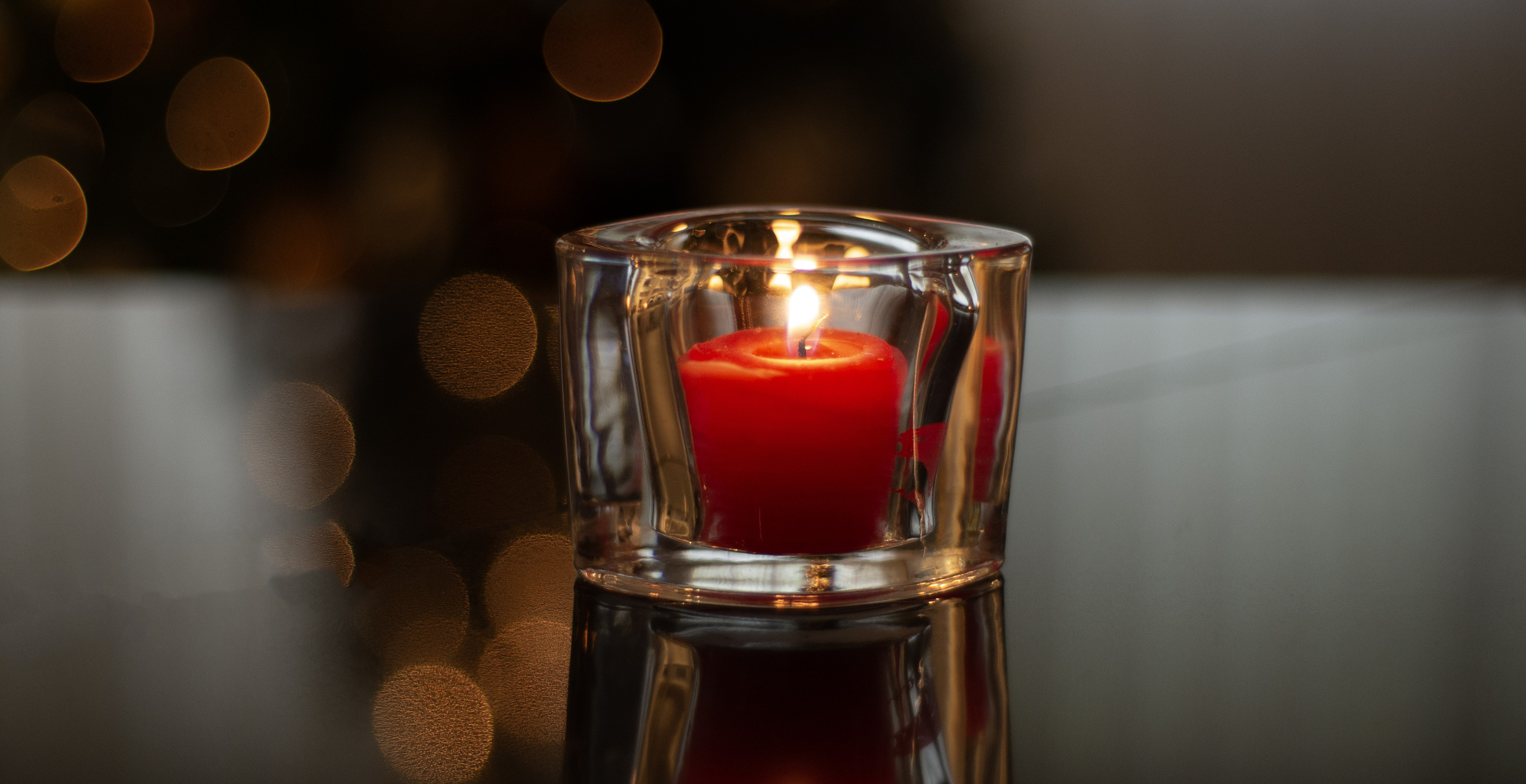 Nala the Cat Has Died