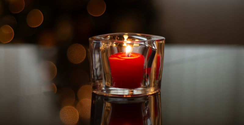 Nala the Cat Has Died