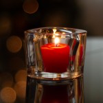 Nala the Cat Has Died