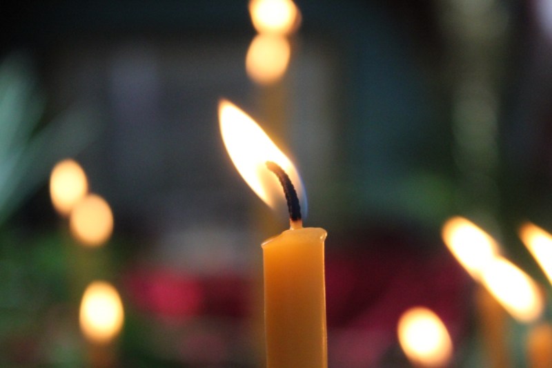 actress-from-33-seasons-of-the-simpsons-reportedly-dies-in-her-sleep-beatrice-picard-was-96