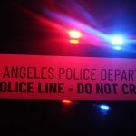 crime-scene-details-emerge-in-killings-of-rob-reiner-and-wife-michele