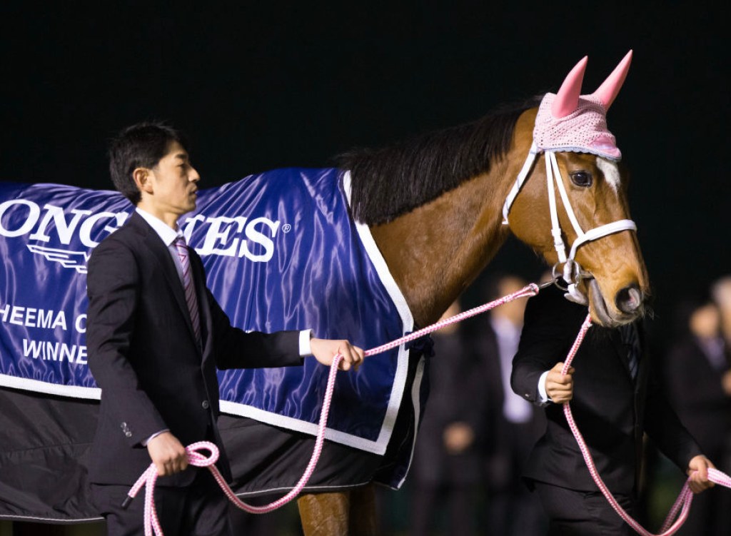 gentildonna-has-died