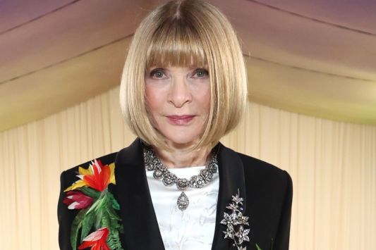 vogue-icon-anna-wintour-shades-trump-administration-official-heres-why