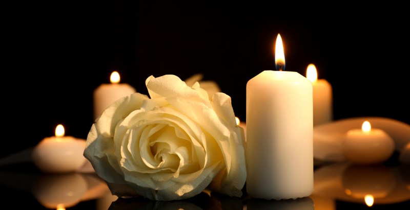 Another Shark Attack Hits Australia As 12-Year-Old Boy Dies