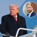 prince-harry-president-trumps-nato-alliance-9-11