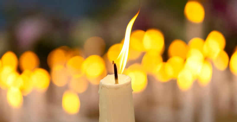 'Halloween' Movie and 'X-Files' Actress Dies 'Unexpectedly' Elyse Donalson Was 78