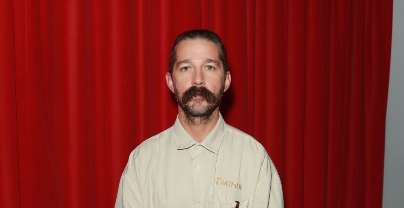 Shia LaBeouf Arrest Details Surface