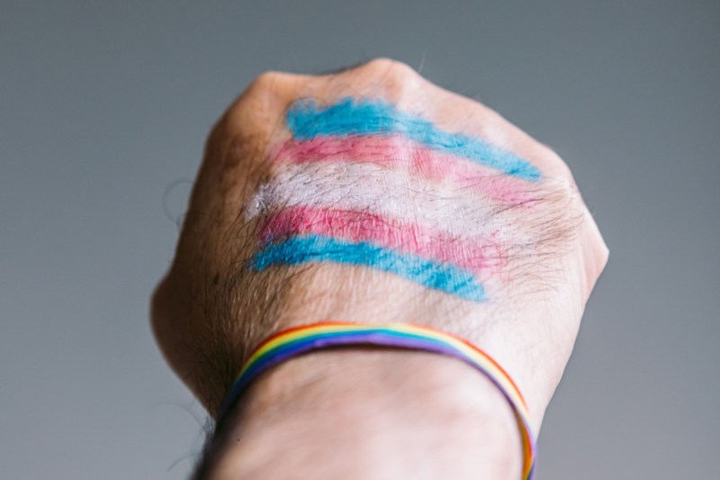 beloved-nature-youtuber-comes-out-as-trans