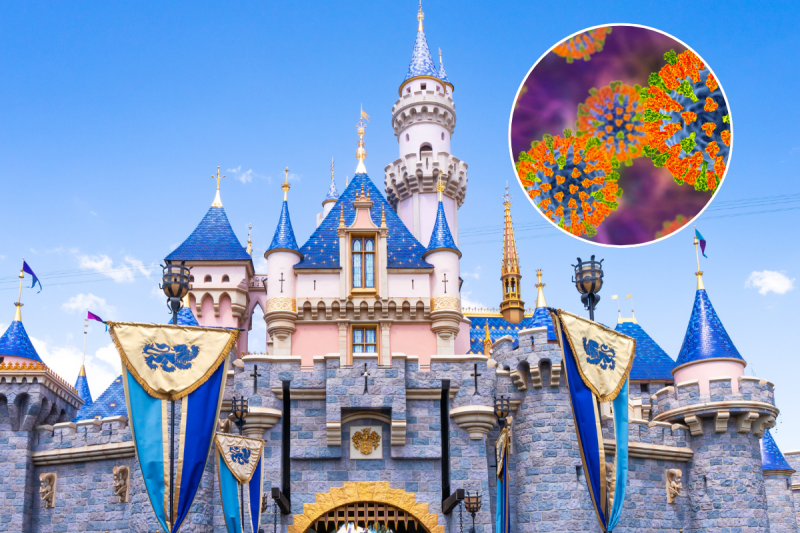disneyland-guests-exposed-to-measles-county-officials-confirm