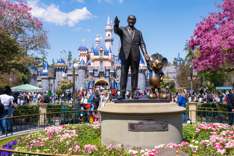 troubling-accident-at-disneyland-the-tree-fell-directly-on-top-of-us