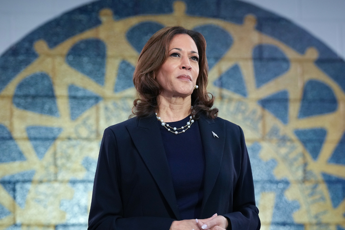 wild-claims-emerge-about-vp-kamala-harris-2024-presidential-election-vetting-team