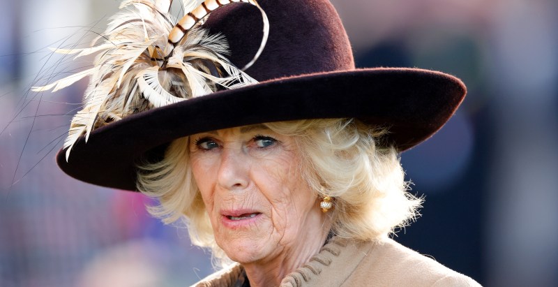 Queen Regent Camilla Accused Meghan Markle Of Brainwashing Harry, Rep For The Estranged Royals Slams The Claim