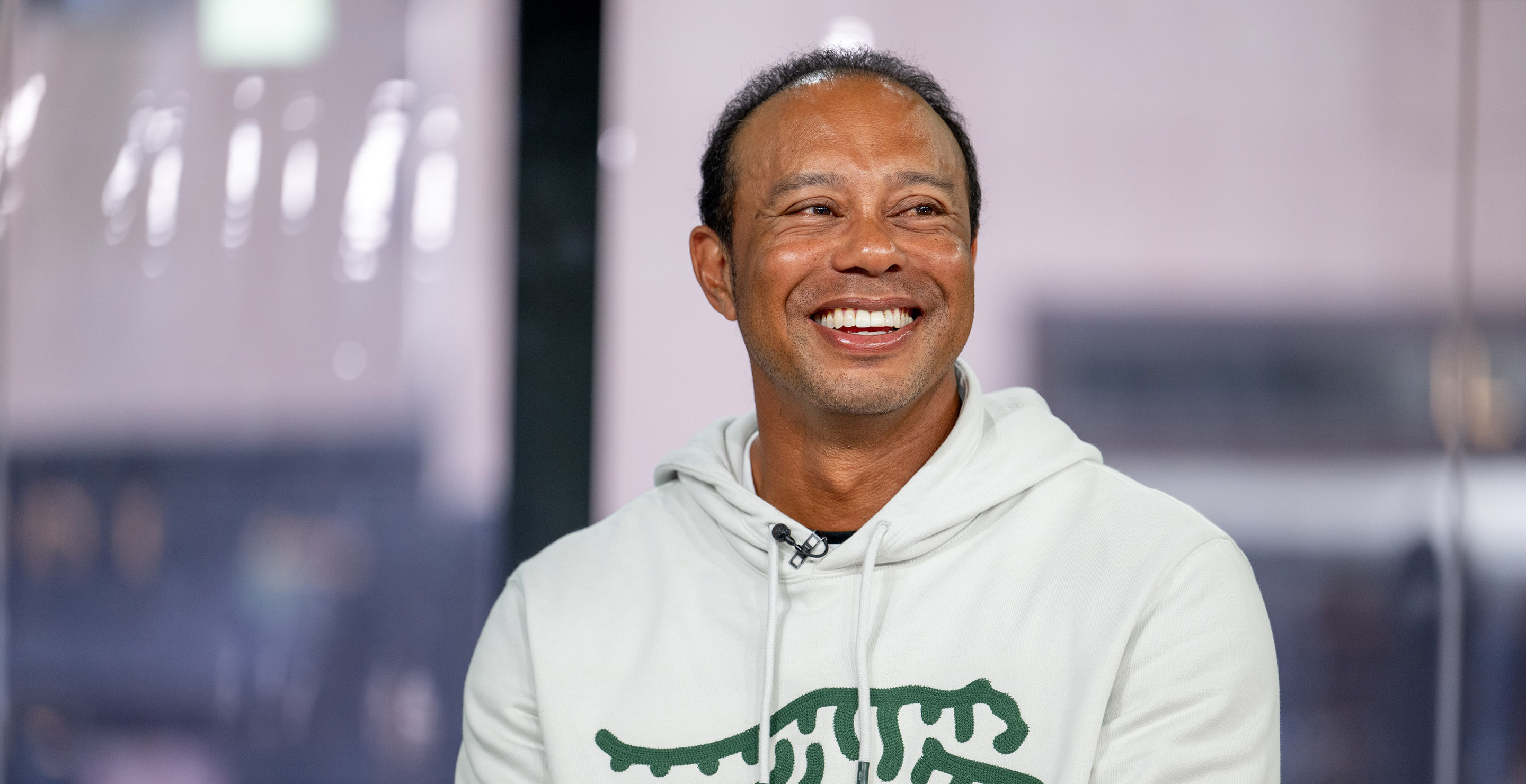 What Tiger Woods Said About His DUI Arrest