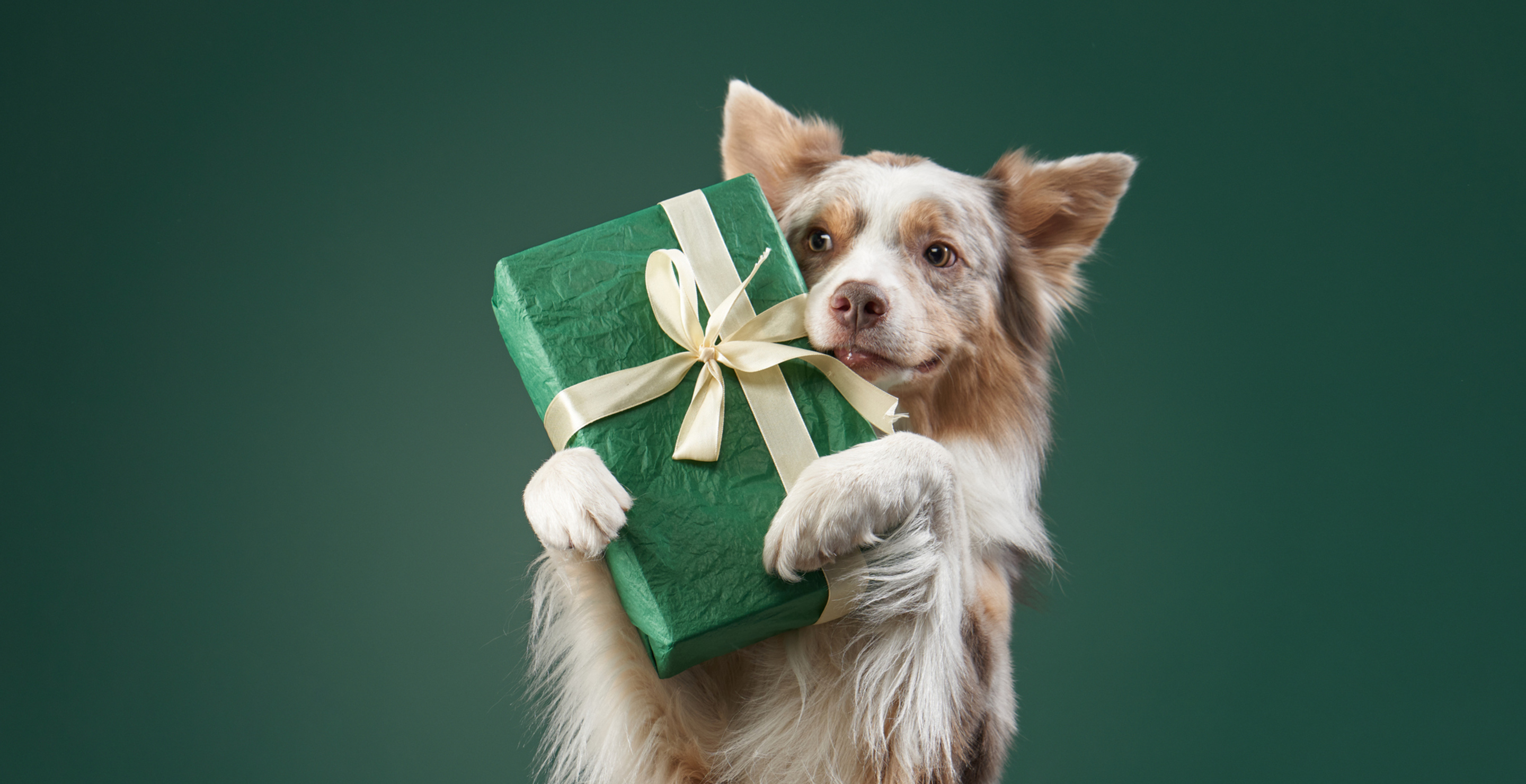 Woman Gives Heartwarming Gift To Service Worker Who Collects Her Trash With Her Dog
