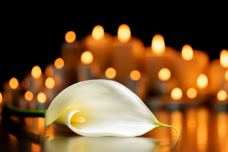 bodybuilder-jeff-nippards-fitness-influencer-fiancee-dies-at-36-rip-to-stephanie-buttermore