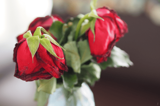 former-the-bachelorette-contestant-arrested-in-connection-to-past-assault-case