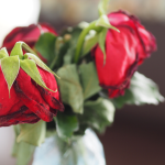 former-the-bachelorette-contestant-arrested-in-connection-to-past-assault-case