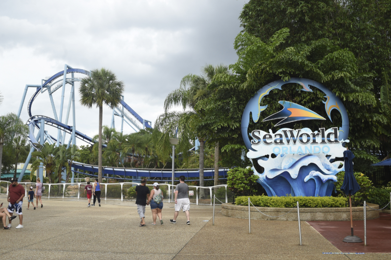 multiple-seaworld-orlando-guests-hospitalized-after-ride-pause-incident