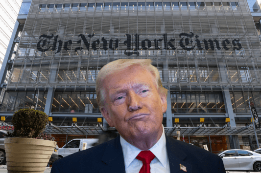 president-trump-calls-new-york-times-white-house-correspondent-a-maggot-threatens-to-sue-her-and-the-media-outlet