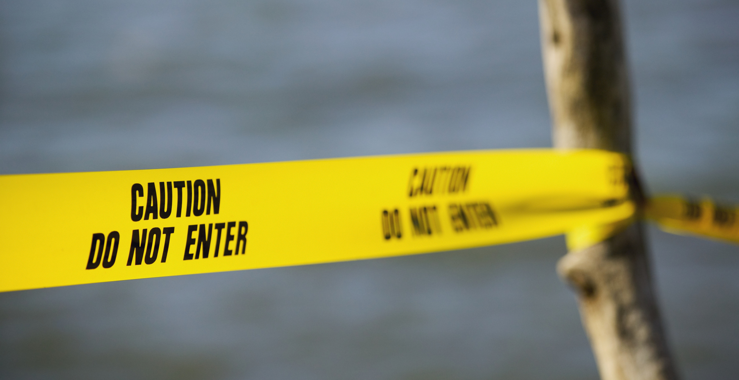 20 Skinned “Canines” Were Found Washed Up On Washington State Island