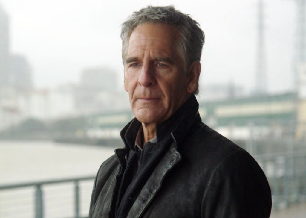 5-more-ncis-universe-stars-who-should-jump-to-9-1-1-shows