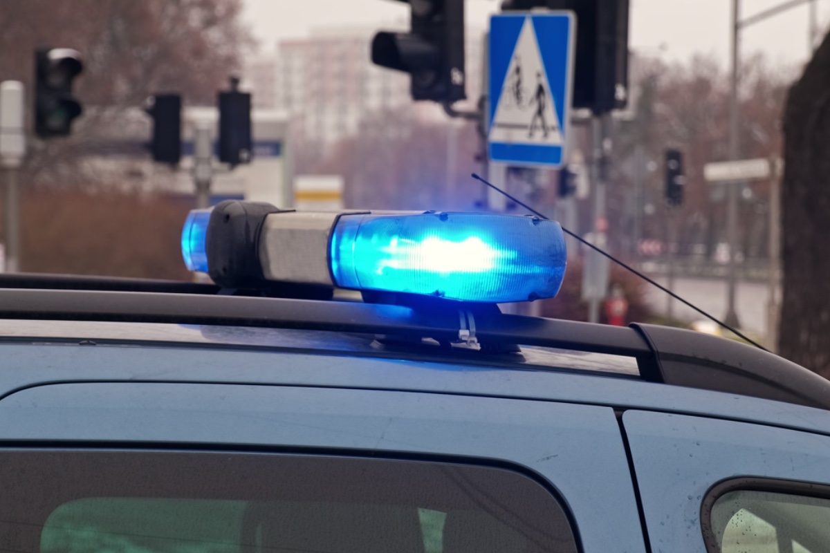 90s-tv-star-accused-in-fatal-hit-and-run-involving-dog