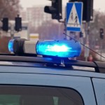 90s-tv-star-accused-in-fatal-hit-and-run-involving-dog