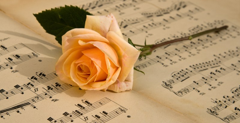 Beloved Singer Dies After 'Short Hospitalization' Family Confirms Death of Rainelle Krause